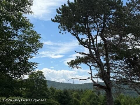 Property Photo:  0 Off Larsen Dr  NY 12496 