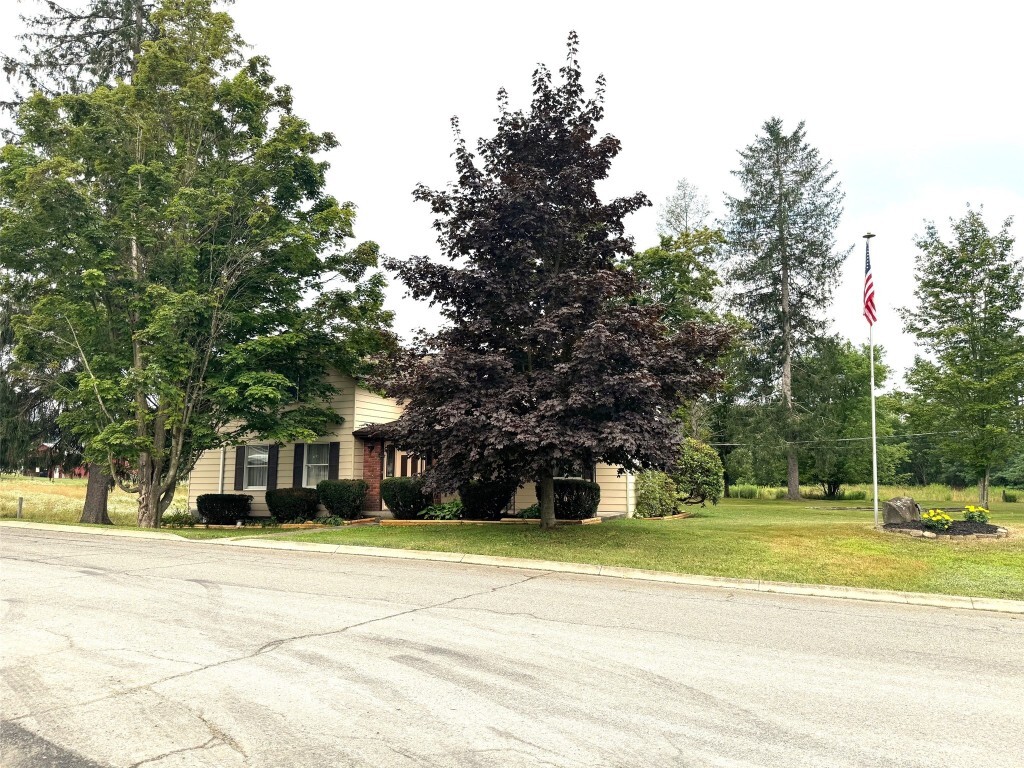 Property Photo: 353 Dutchtown Road NY 13826