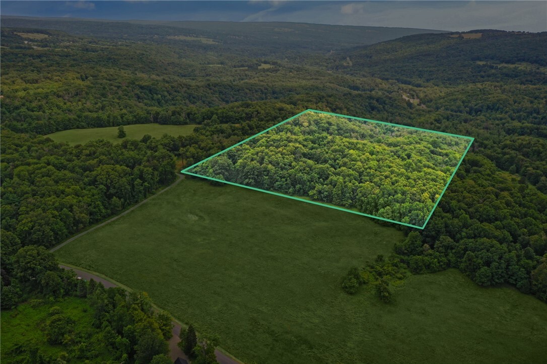 Property Photo: 0 Slators Lane Lane NY 14867