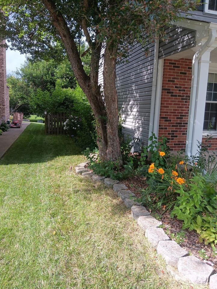 Property Photo:  1024 Confederation Drive  IL 60103 