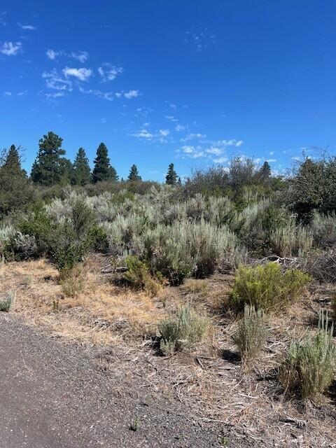 Property Photo: Wrightwood Lot 17 OR 97624