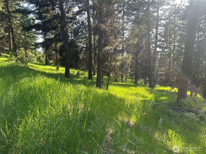 Property Photo: 0 Tbd Janet Marie Road WA 98855