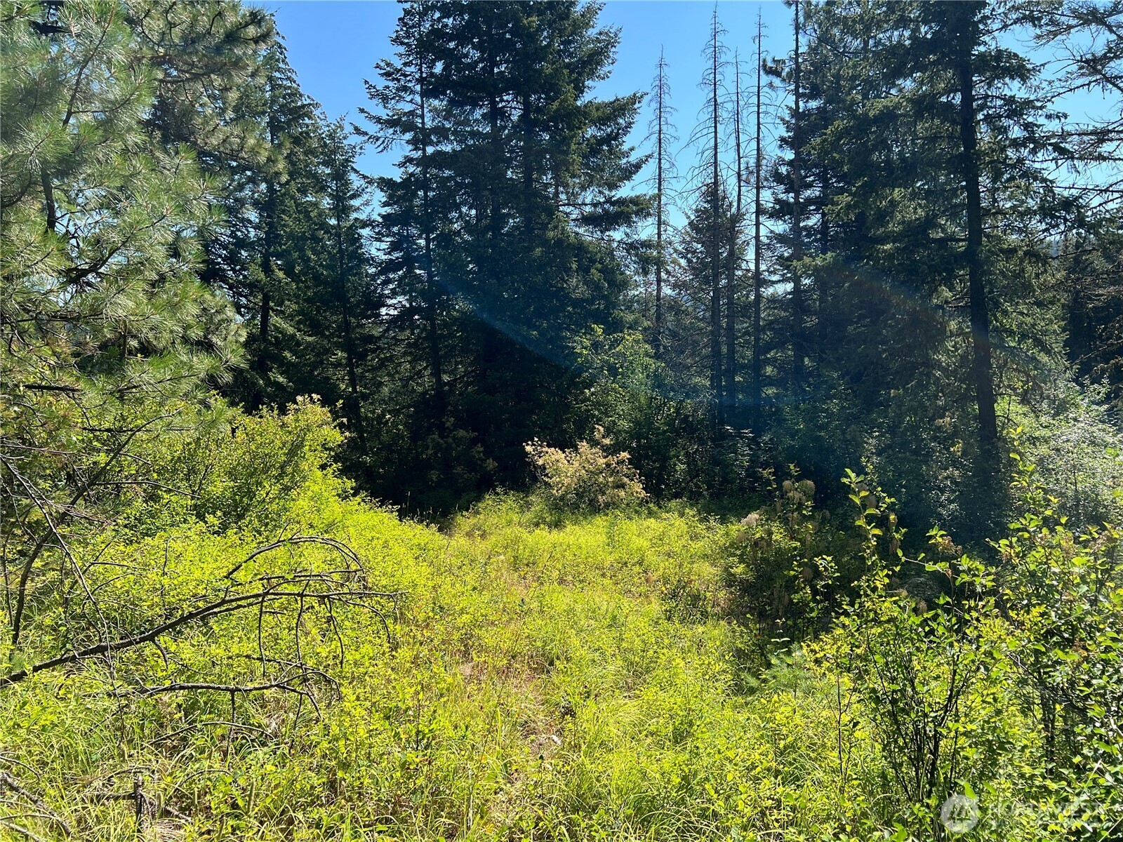 Property Photo: 9305 Lewis Peak Road WA 99329