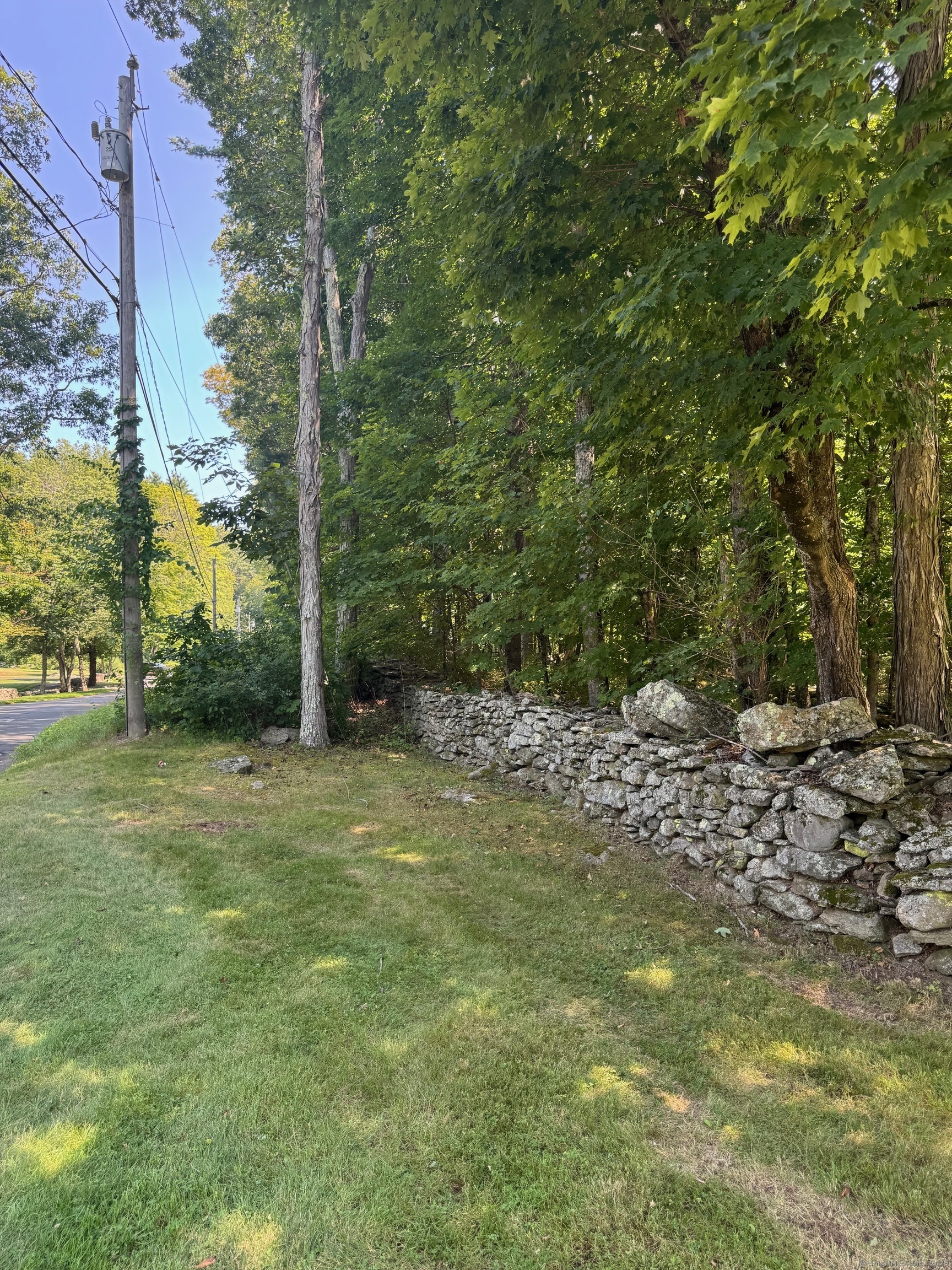 Property Photo:  0 Patten Road Mblu38// 39.1//  CT 06075 