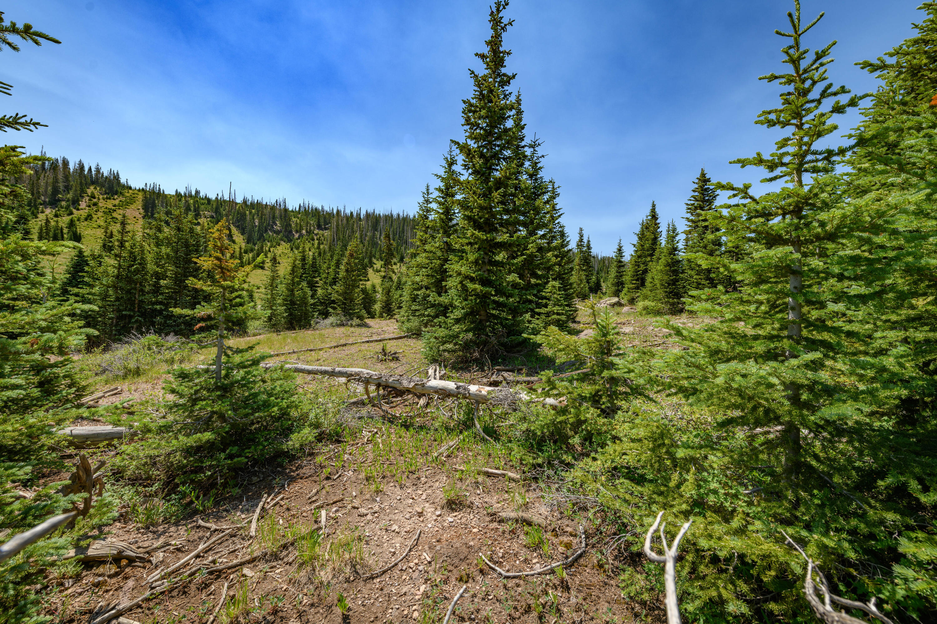 Property Photo:  Lot 29, Aspen Mdws SE Neighbor  UT 84719 