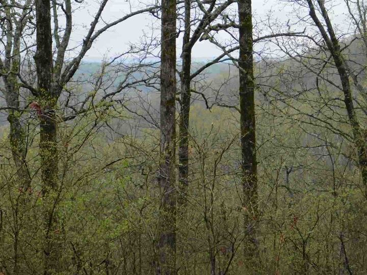 Property Photo:  96 Acres Powell Hollow Road  AR 72482 