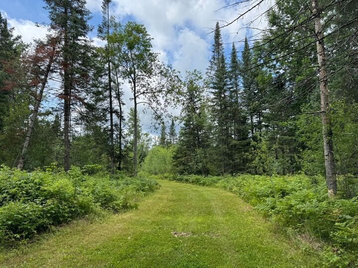 Property Photo: 1csm666 Mercer Lake Cr S WI 54547