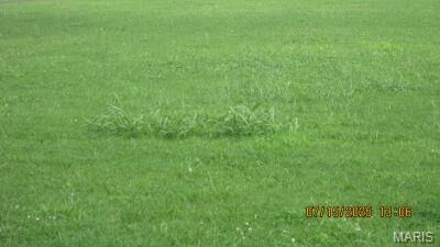 Property Photo:  116 Hospitality Drive  MO 63801 