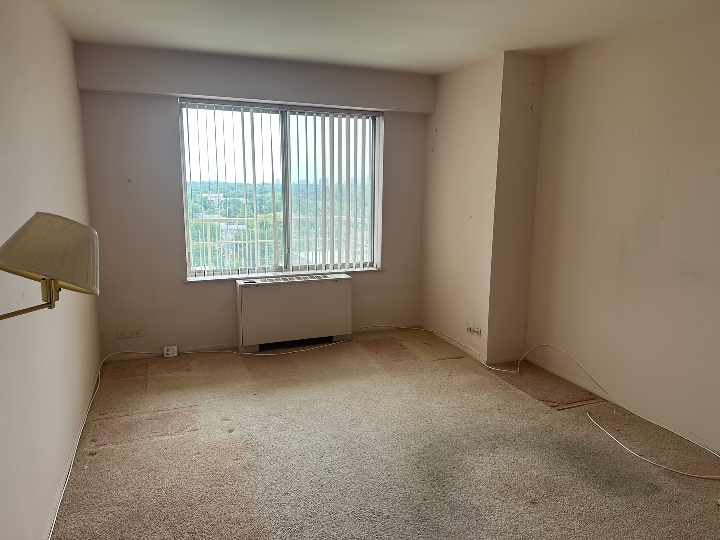 Property Photo: 7061 N Kedzie Avenue 1008 IL 60645