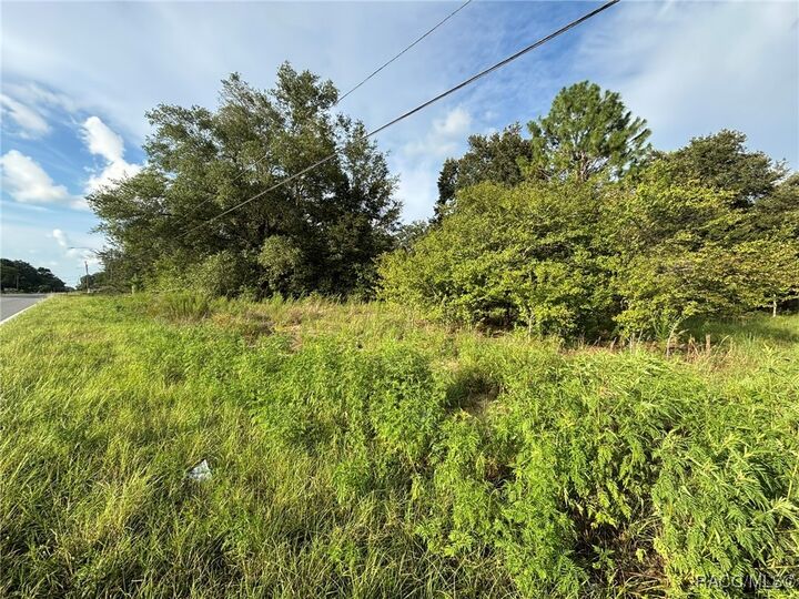 Property Photo: 802 Independence Highway FL 34453