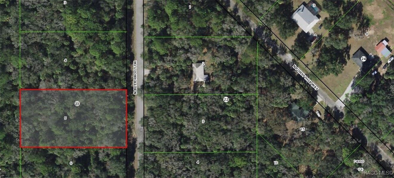 Property Photo: 7696 N Bitteroot Drive FL 34428