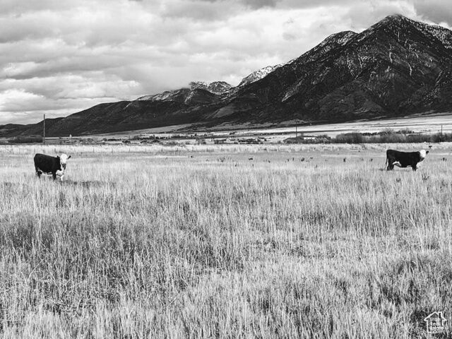 Property Photo:  912 W Goshen Rd  UT 84645 
