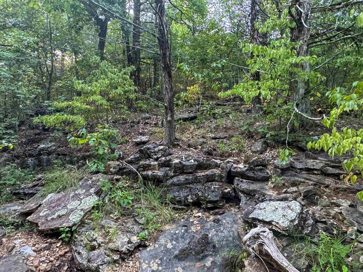 Property Photo: 000 Duncan Ln AR 72569