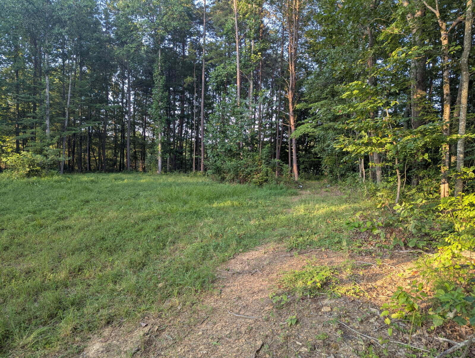 Property Photo: 780 Level Green Road KY 40701