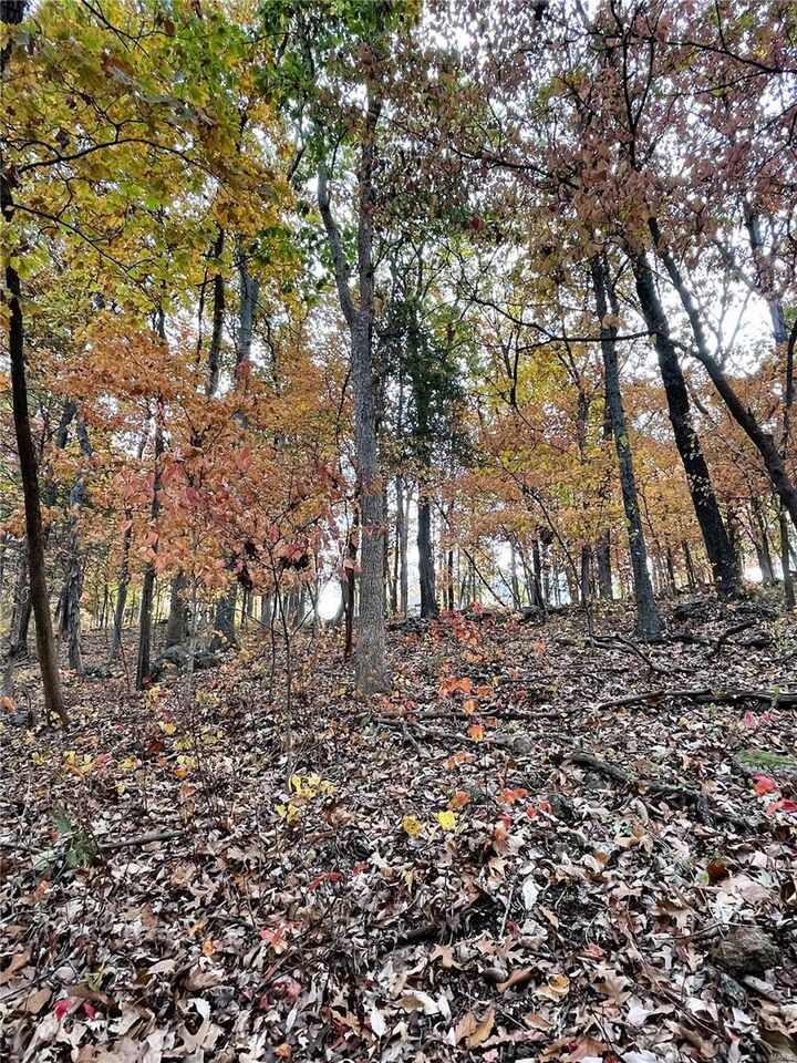 Property Photo: 3539 Red Oak MO 63052