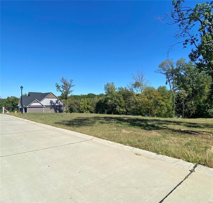 Property Photo:  2021 Lily Avenue  MO 63122 