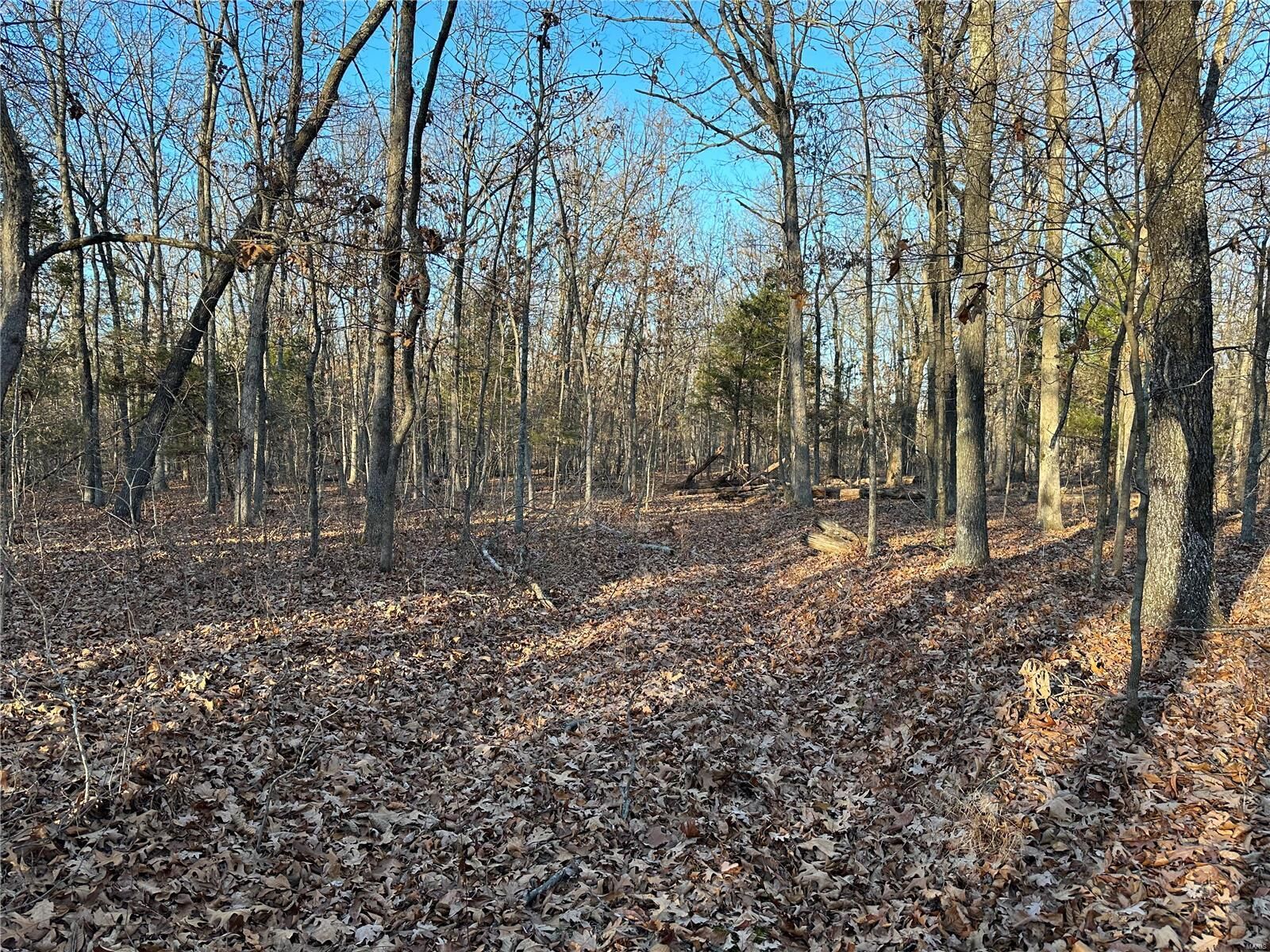 Property Photo: 0 Hwy K MO 63645