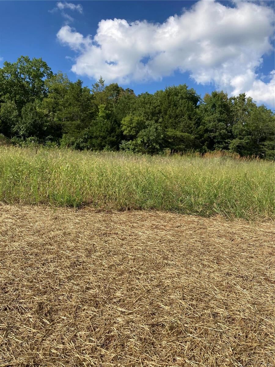 Property Photo: 0 Lot 19 Of Dry Fork Meadows MO 63052