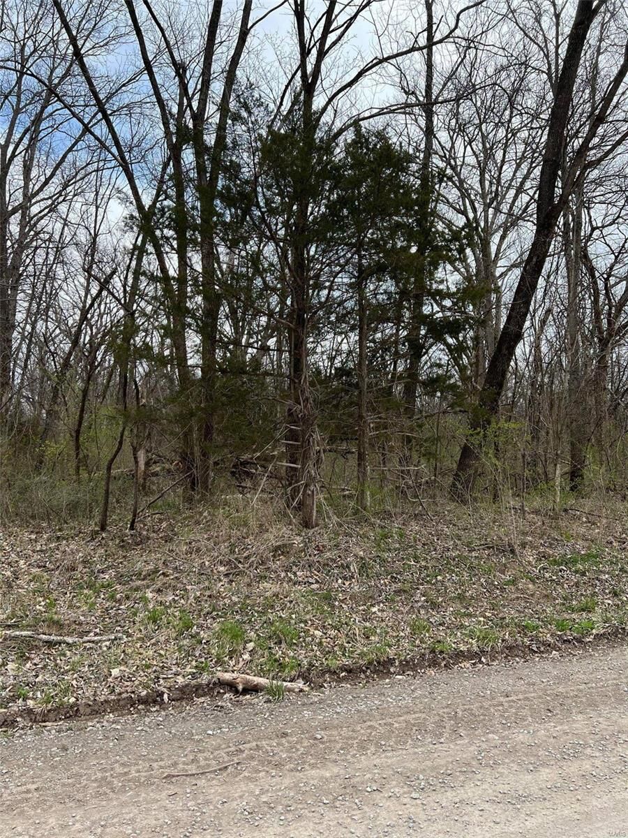 Property Photo:  3 Orchard Avenue  MO 63401 