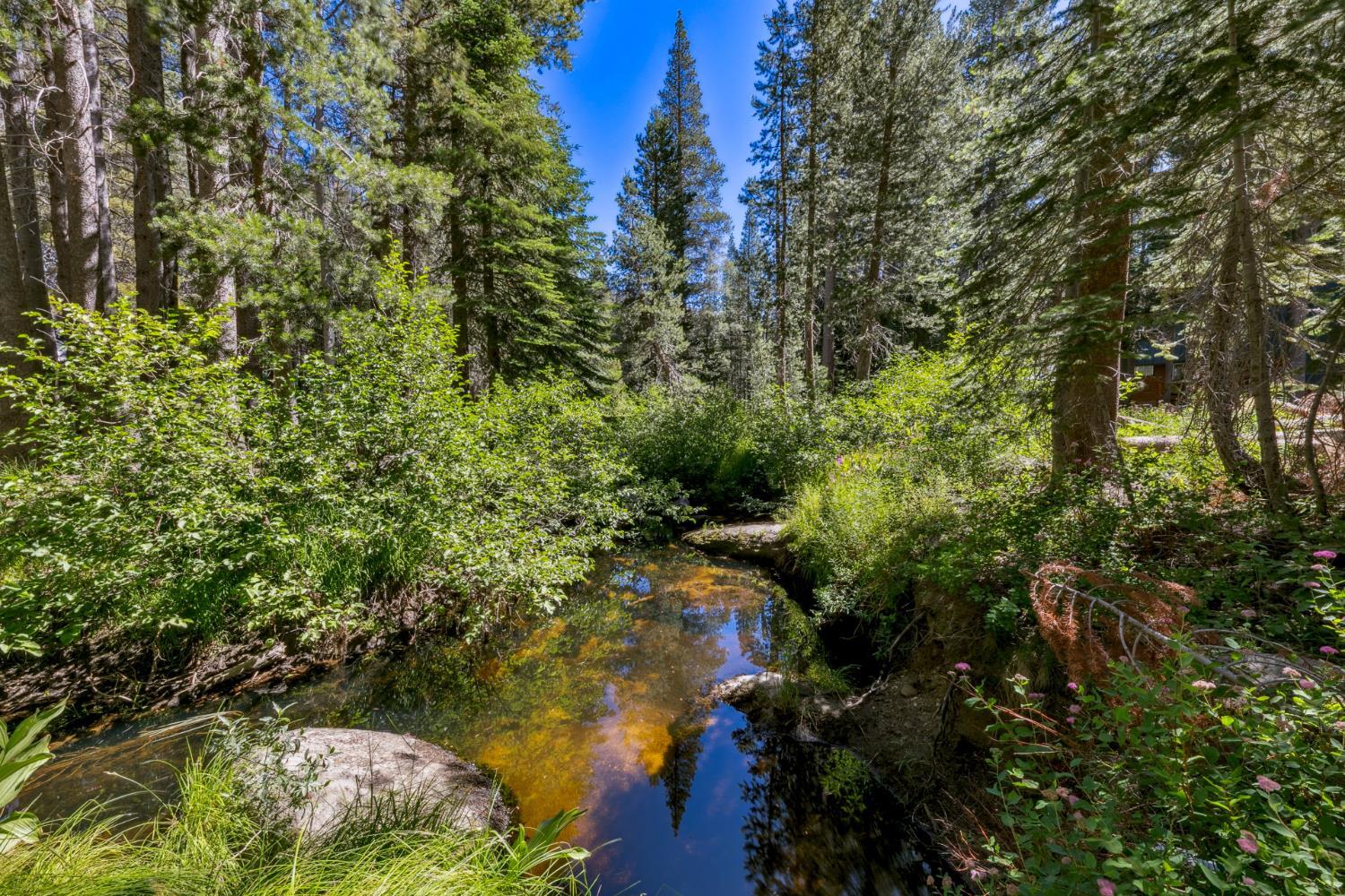 Property Photo: 2010 Audrain Way CA 95721