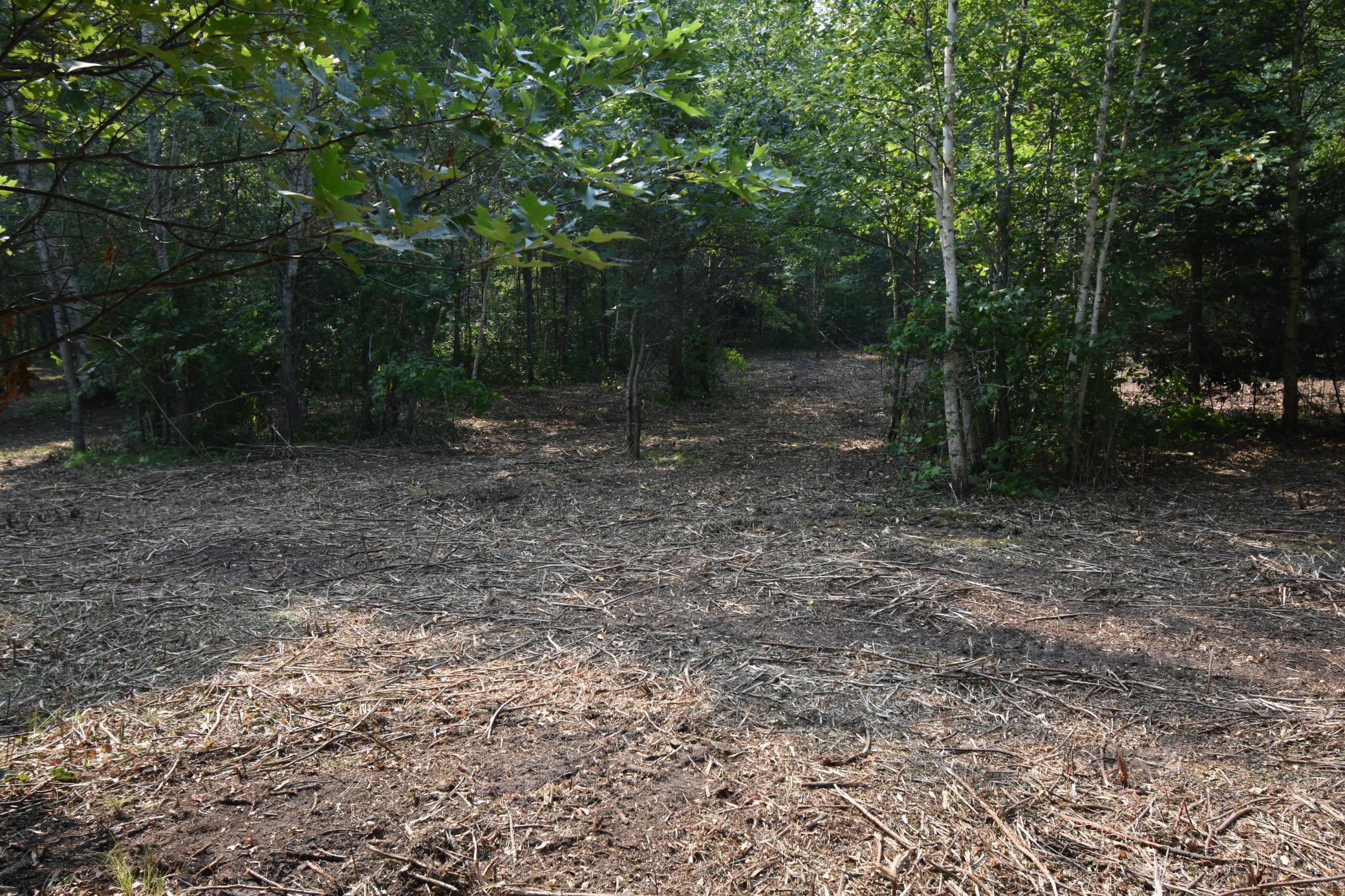 Property Photo:  Tbd 30th  MN 56474 