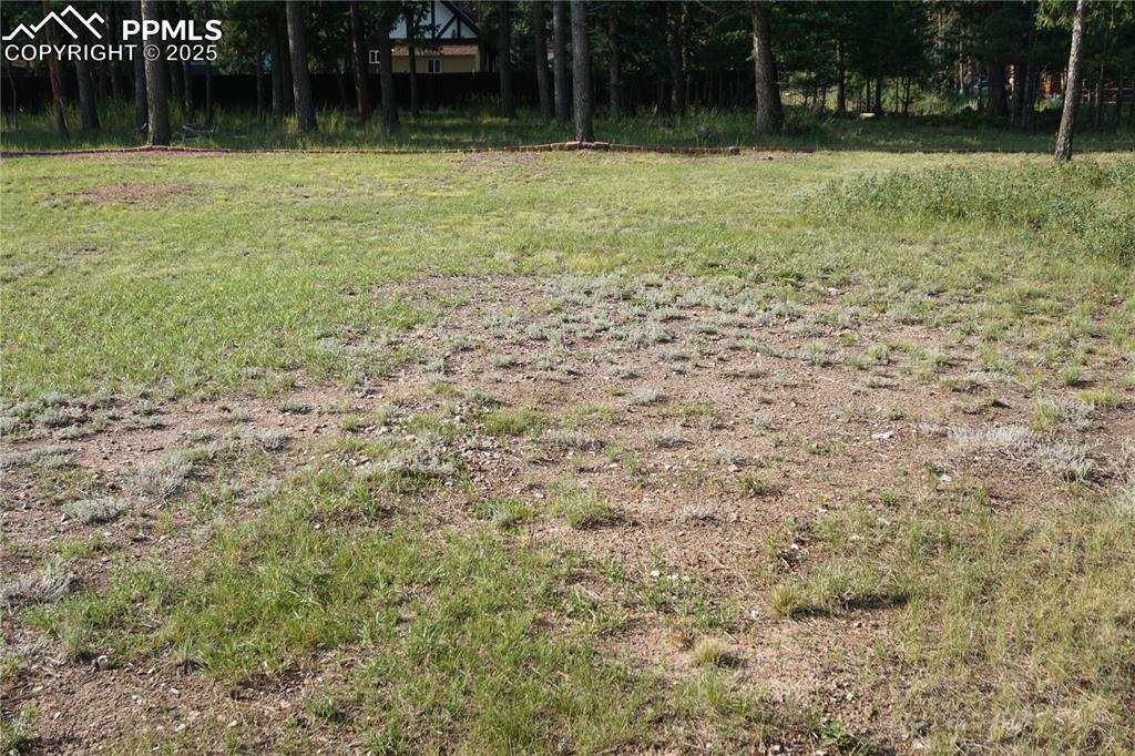 Property Photo: W Bowman Avenue CO 80863