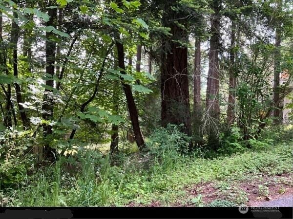 1148  Berry Way  Lummi Island WA 98262 photo