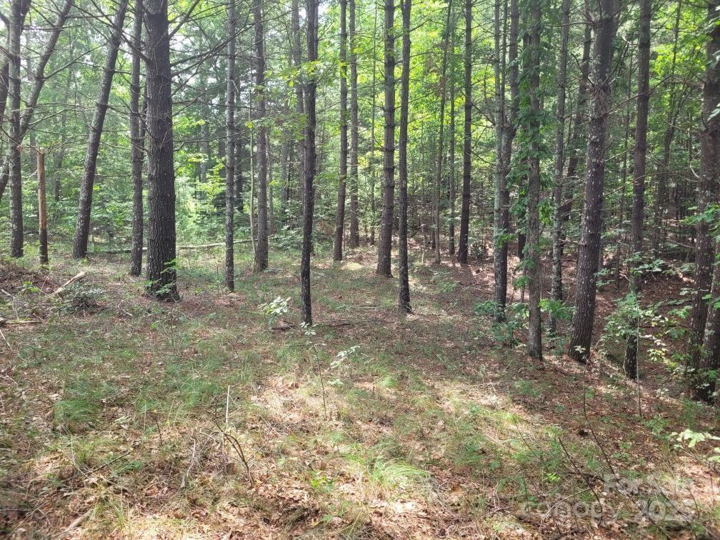 Lot 278 Scenic Vista Drive  Nebo NC 28761 photo