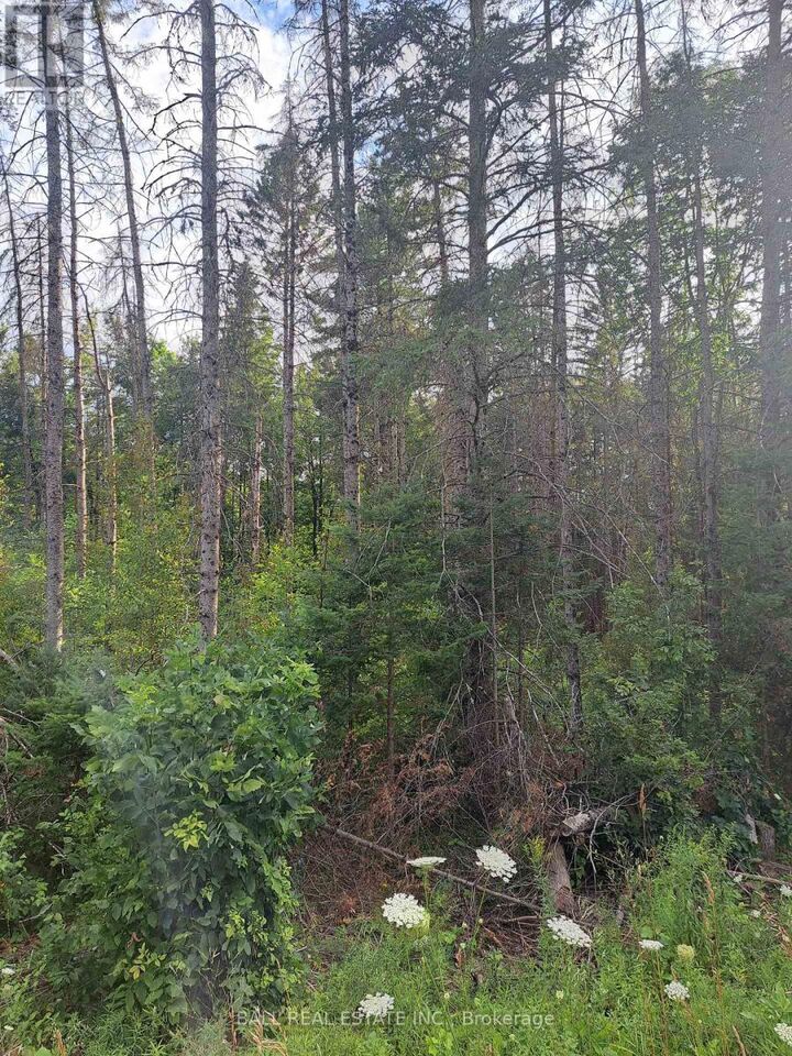 Property Photo:  0 Cordova Road  ON K0L 2M0 