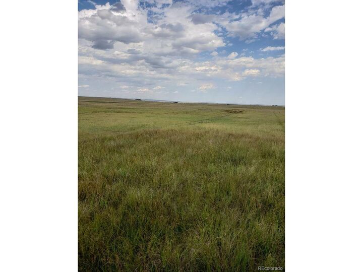 Property Photo: 8155 Cowboy Ranch Vw CO 80831