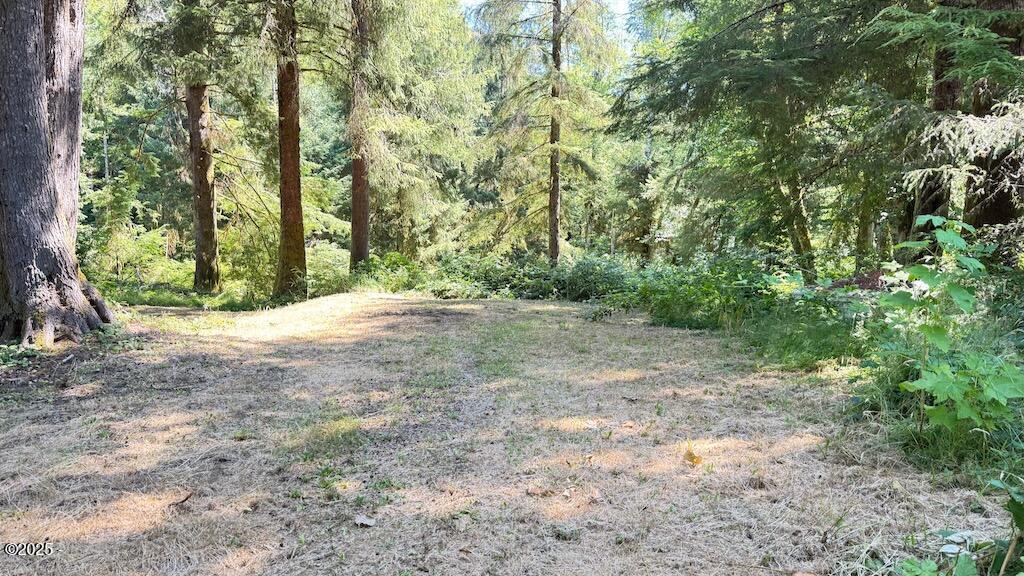 Property Photo: Lot 5 N Doris Lane OR 97368