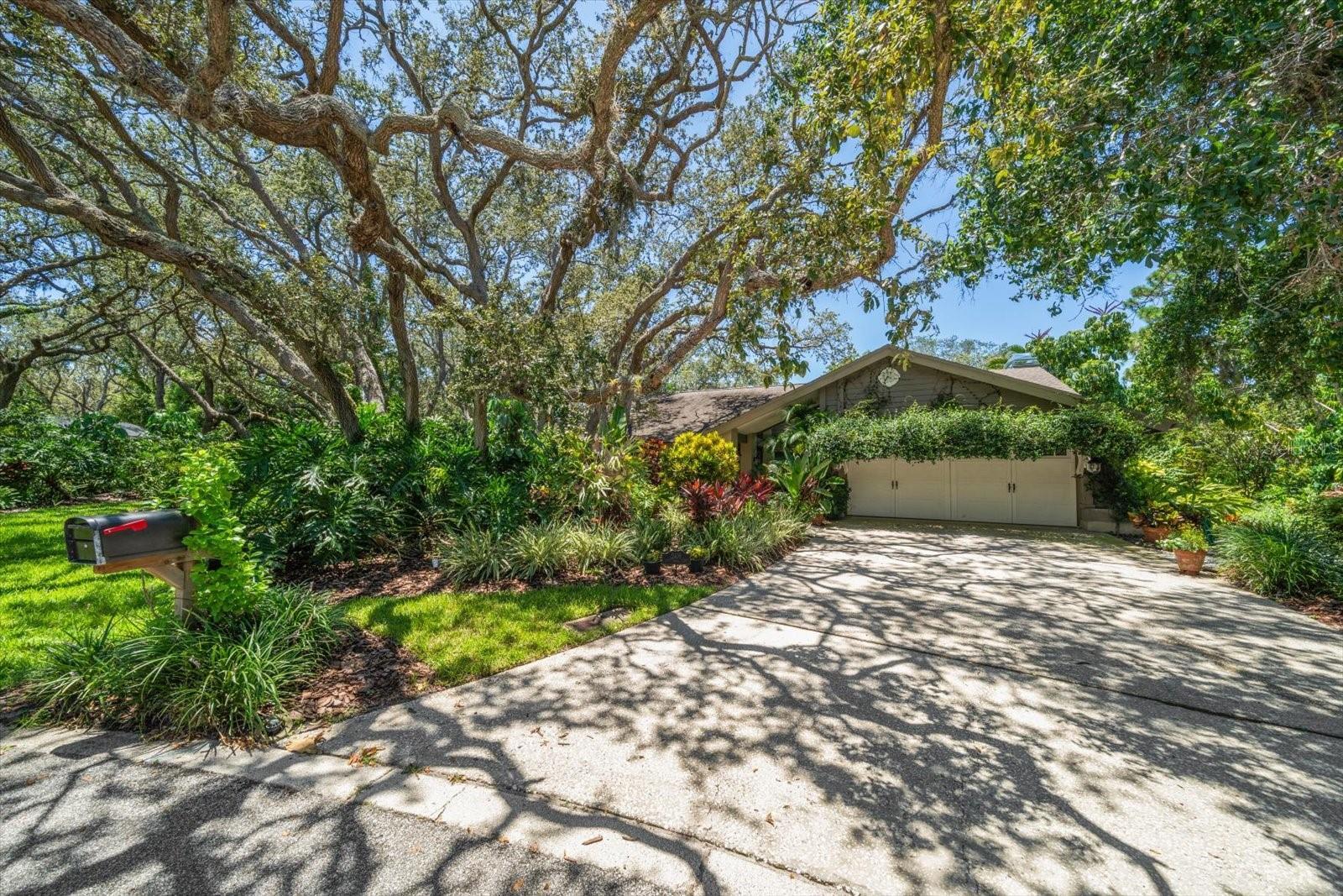 2418 Summerwood Court  Dunedin FL 34698 photo