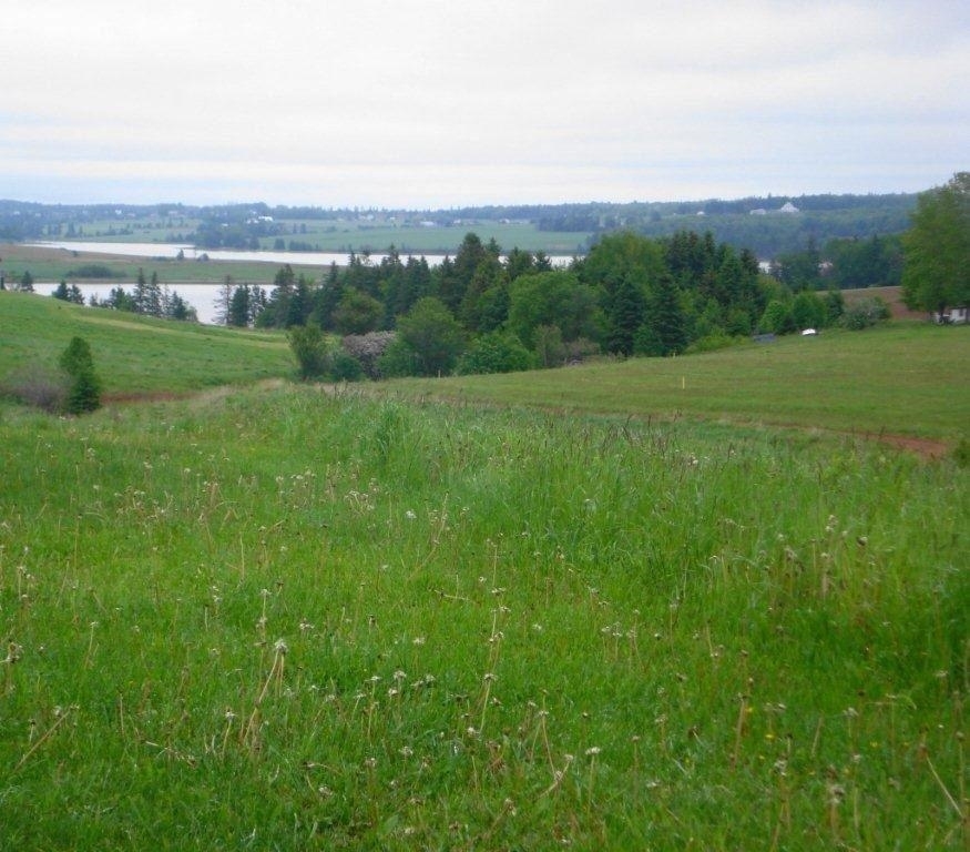 Property Photo: Lot 2 Homestead Lane PE C0A 1H0