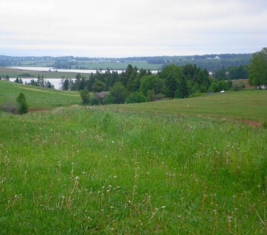 Property Photo:  Lot 2 Homestead Lane  PE C0A 1H0 