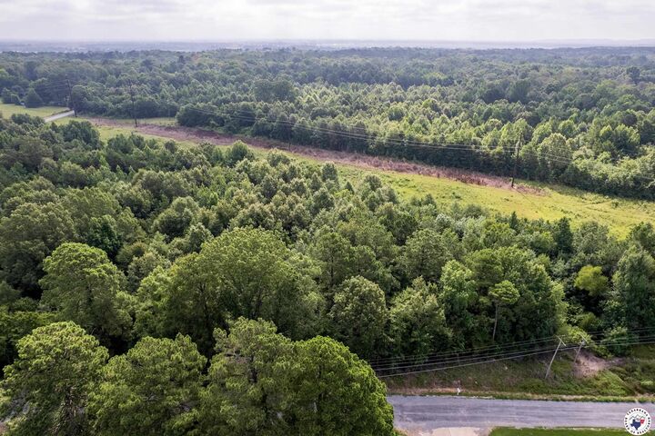 Property Photo:  Tbd 4 Joey Lane  AR 71854 