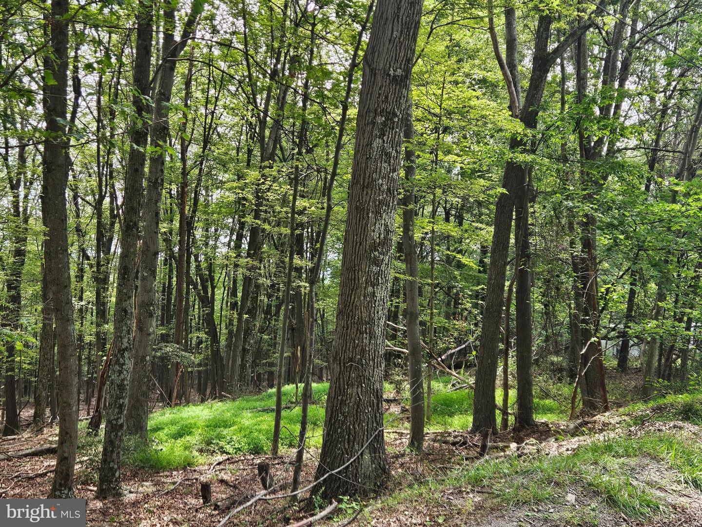 Property Photo:  Elbinsville Road  MD 21530 