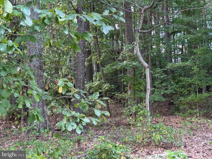 Property Photo: Long Leaf Lane MD 20650