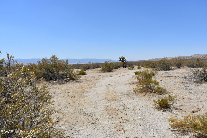 Property Photo:  170th St West &Amp S/O Irone Ave  CA 93560 