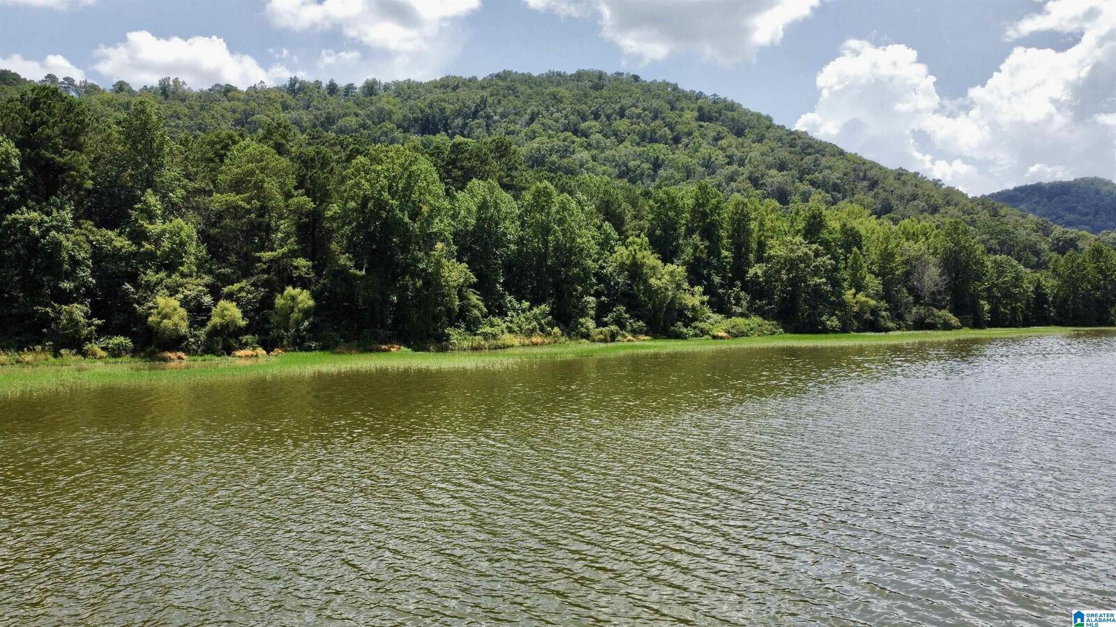 Property Photo:  148 Acres County Road 21 2 Parcels  AL 35953 