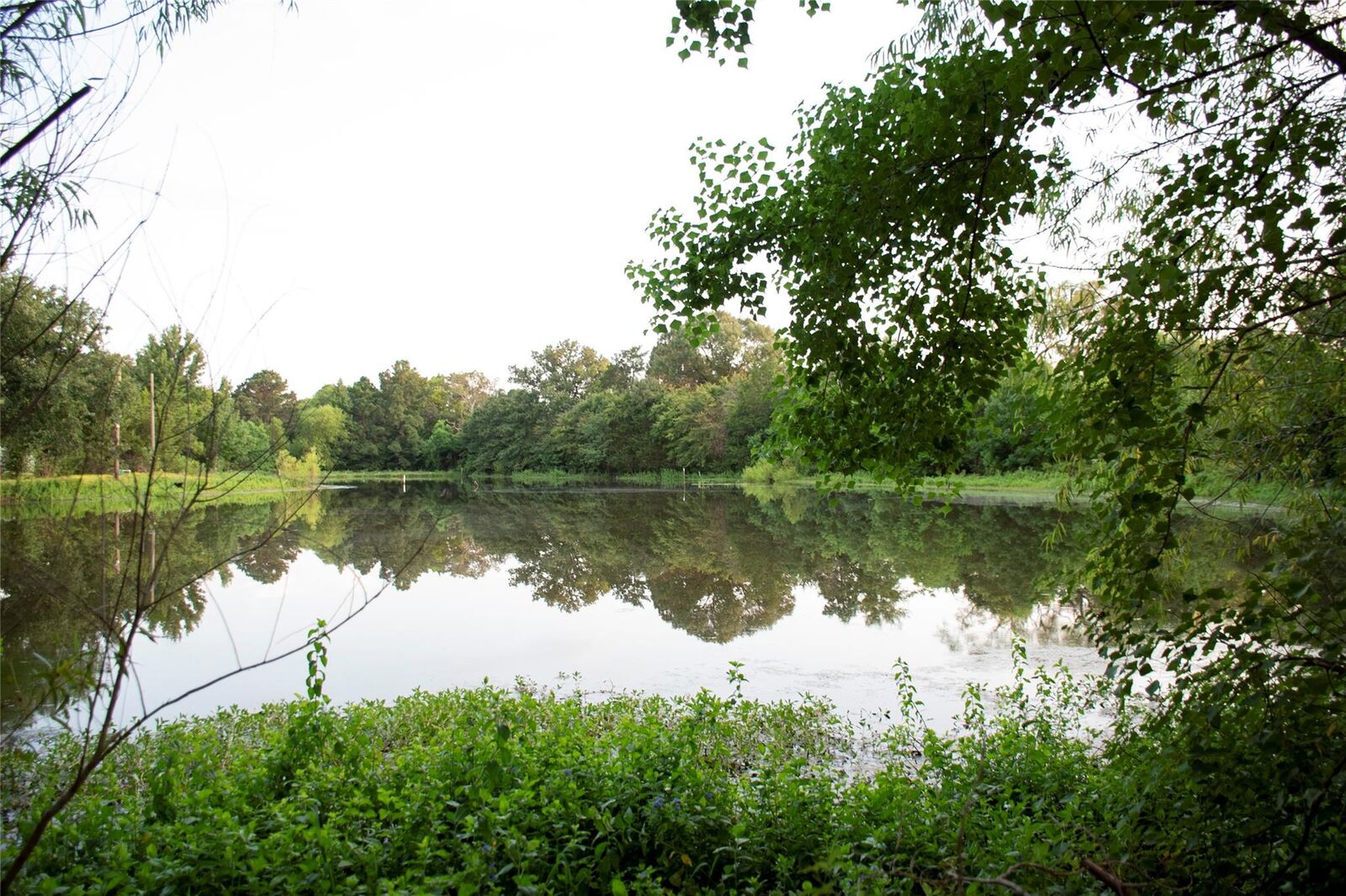Property Photo: 383 County Road 1875 TX 75844