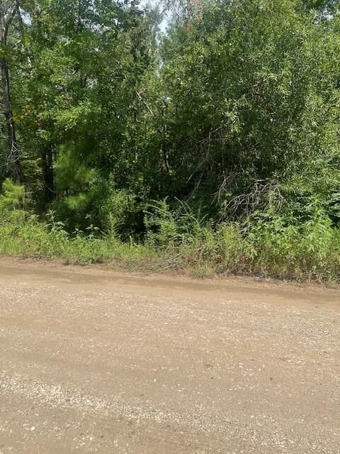 Property Photo: Lot 4 Klein Drive TX 77351