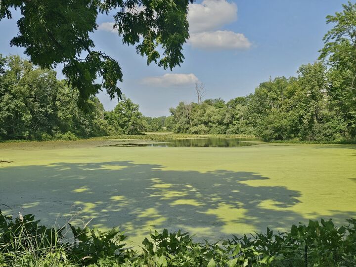 Property Photo: 331 N Steer Street MI 49220