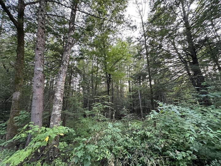 Property Photo:  0 Shaw Road  MA 01026 