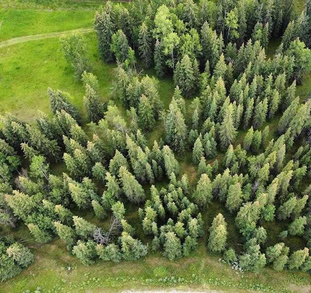 Property Photo:  2 Juniper Ridge  AB T7V 1X7 