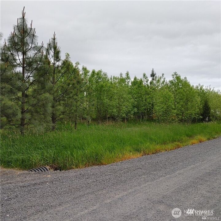 Property Photo: 0 Nicholson Road WA 98591