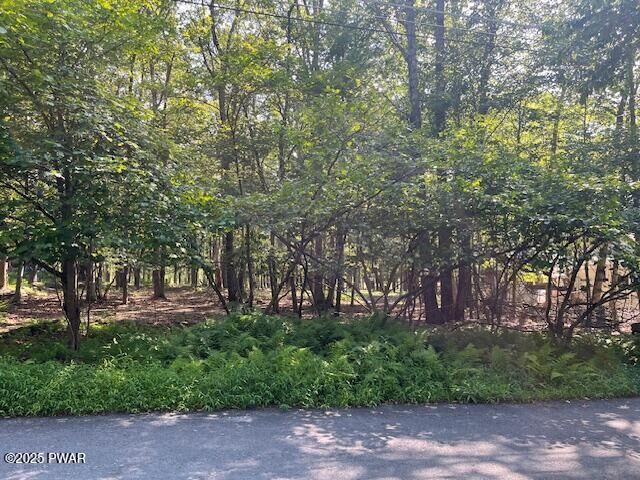 Property Photo: Lot 34 Walnut Road PA 18337