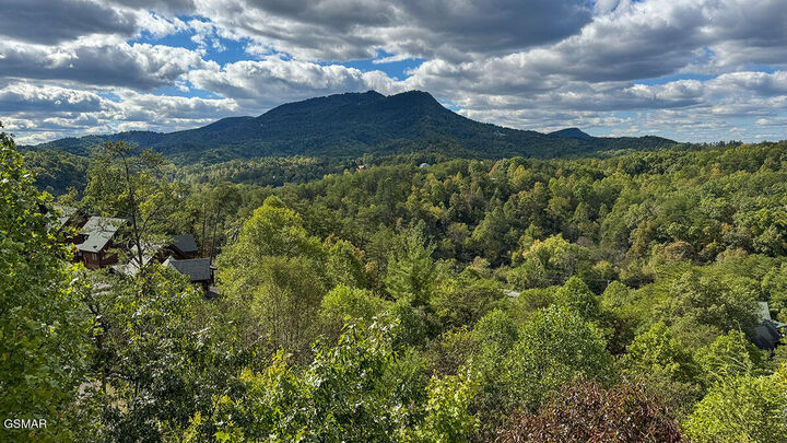 Property Photo: 1352 Timberwolf Way TN 37876