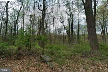 Property Photo: 0 Cocalico Road PA 19508