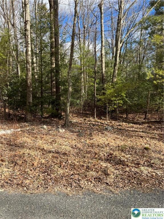 Property Photo: 3121 Holiday Drive 2606 PA 18346