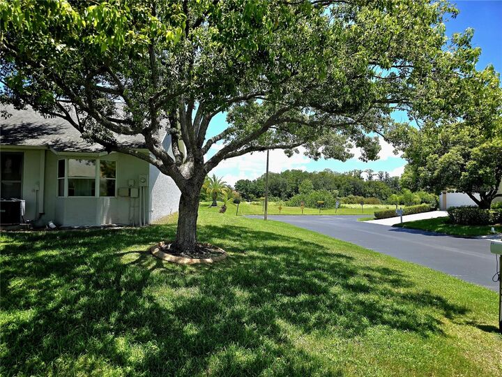 Property Photo: 4201 Prado Lane FL 34655